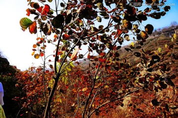 巩义长寿山 高清无噪