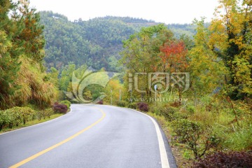 公路 山区道路