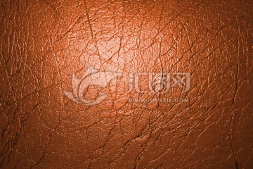 树皮皮面