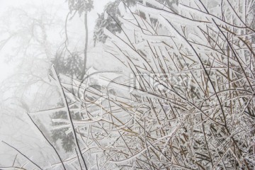 雪景