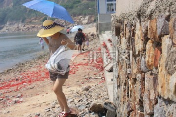 西中岛