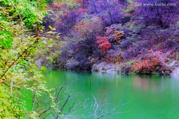 巩义长寿山红叶 高清无噪