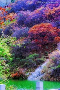 巩义长寿山红叶 高清无噪