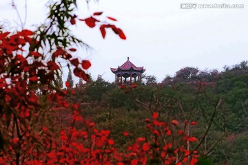 巩义长寿山红叶 高清无噪