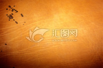 真皮纹理