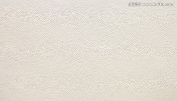 皮纹