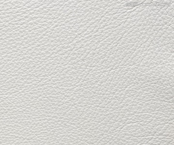 皮纹 材质
