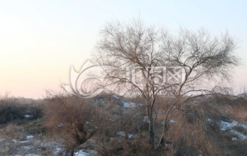 冬日伊犁河