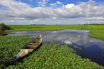 湿地 湿地公园