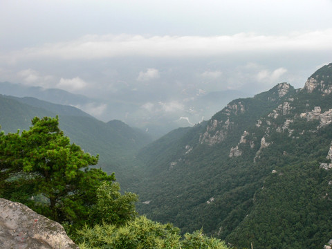 群山山脉高山云雾松树山水