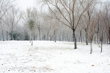 冬天的公园