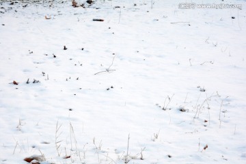 雪