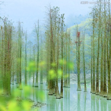 山川飘渺