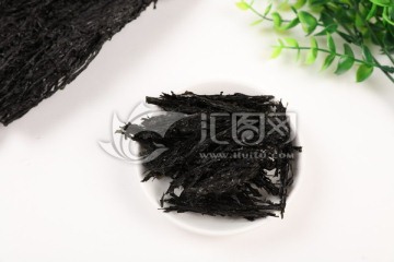 紫菜