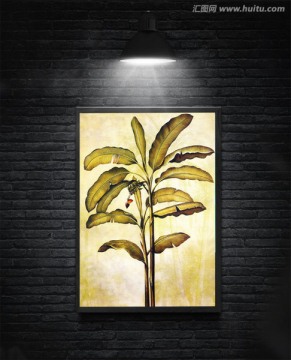芭蕉树ZSY 合层