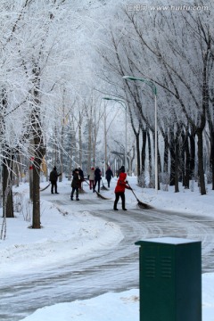 雾凇 冬天 扫雪 雪景