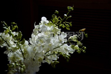 鲜花花束 白色杨兰