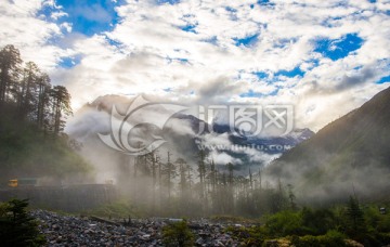 西藏 山谷 云雾 森林 冰山