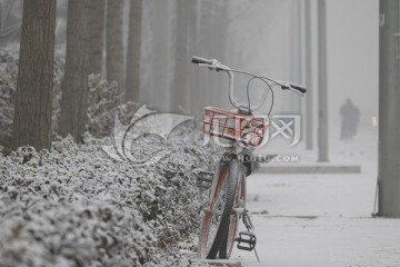 雪中的自行车