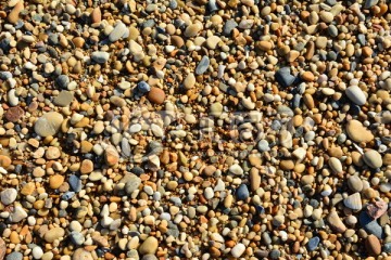 砂砾 海滩