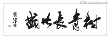 盛世长青树