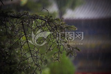 雨天