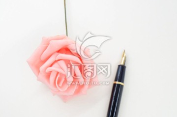 白色背景上的钢笔和玫瑰花