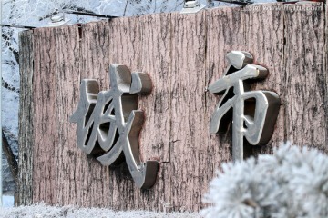 大庆 城市深林 冬天 瑞雪