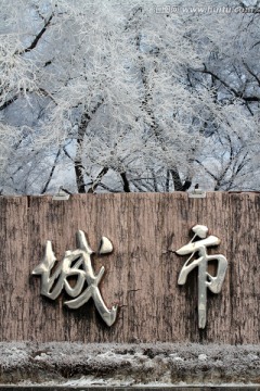 大庆 城市深林 冬天