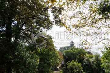 观音寺大悲阁远眺