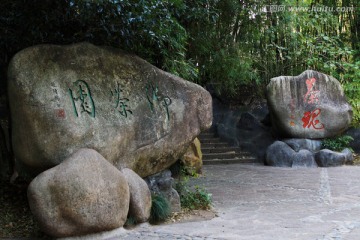 武夷山风光 佛茶园