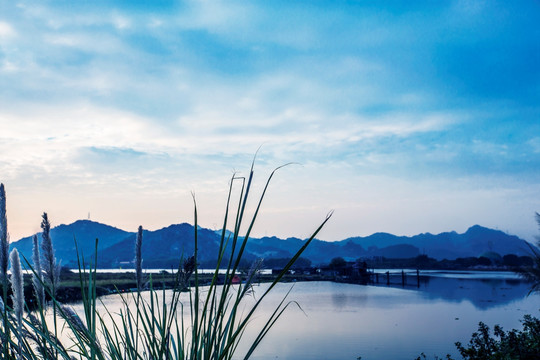 湖泊 天空 芦苇