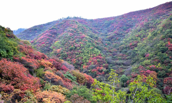 彩色山脉大自然风景