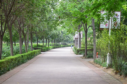 宽阔的公园道路