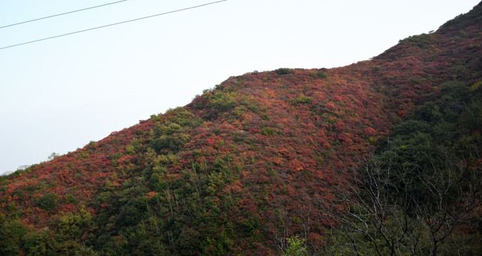 巩义长寿山秋季风景