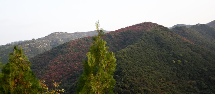 红色山坡和绿色山坡