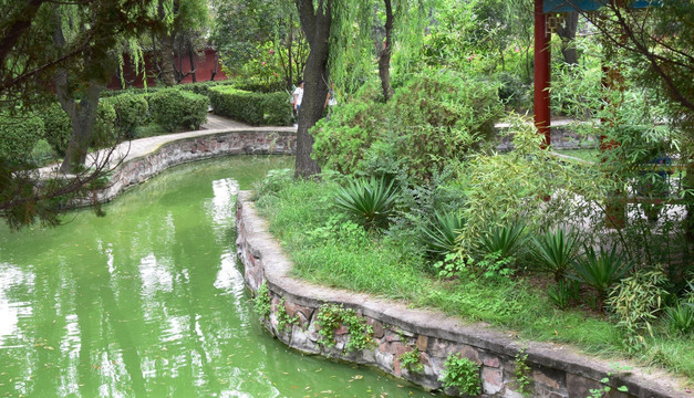 公园里的河道与绿色植物