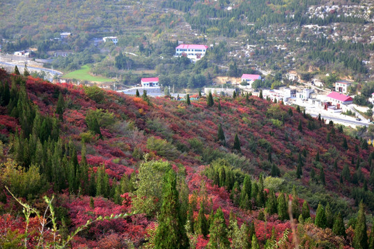 彩色的山坡秀美风光