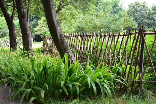 公园里的竹篱笆图片