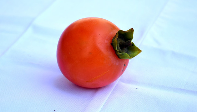白色背景红柿子图片
