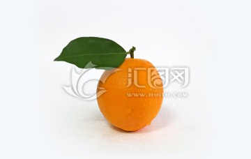 橙 脐橙