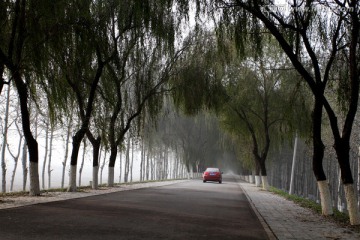 运河大堤路