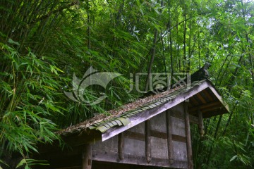 竹海凉亭 川西民居建筑风格