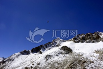 冰川雪山 鹰击长空