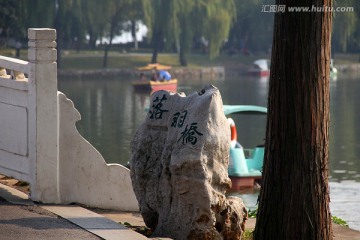 武汉 东湖 落羽桥