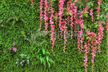 绿色假植物背景墙