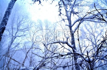 冬季雪景