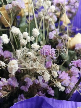 花 花卉 鲜花 植物 紫色花