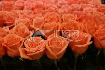 玫瑰花束