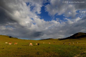 北沟